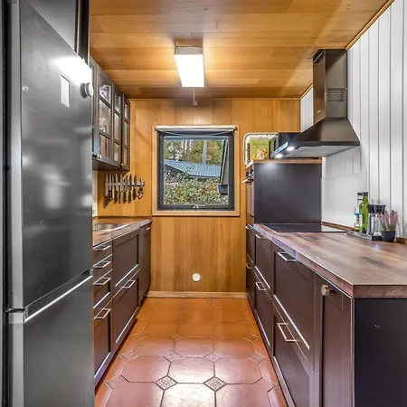 Sheyla - 70m From The Sea By Interhome Bøtø By